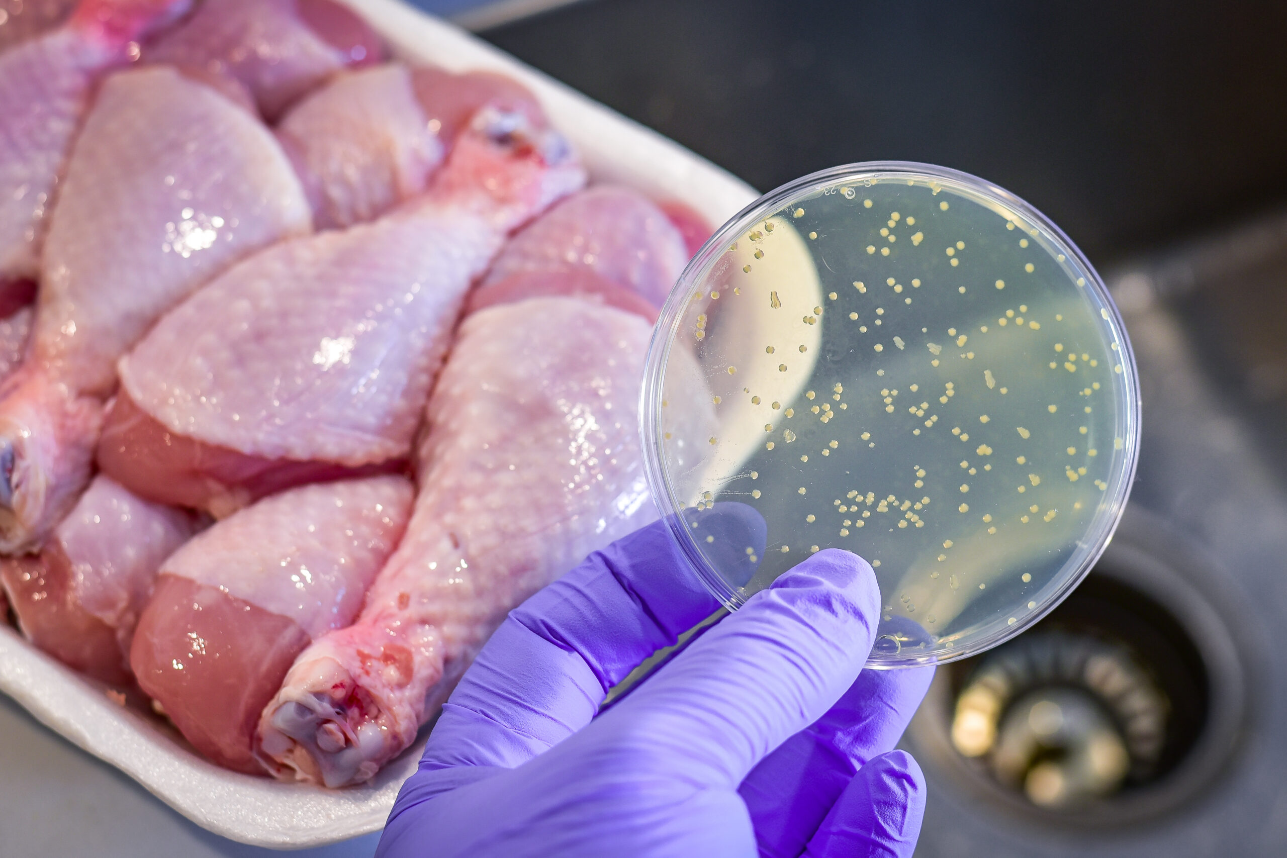 Chicken Product Recall Issued in New Hampshire Due to Possible Listeria Risk
